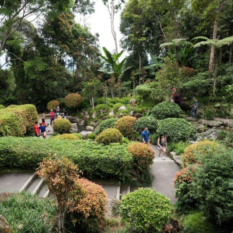 Private Day Tour Package to Bukit Tinggi French Village - Explore the Elegance - Image 3